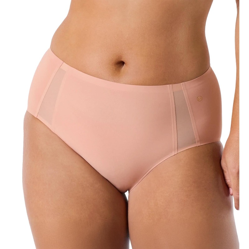 Evelyn & Bobbie Mesh High-Waisted Retro Bikini Panty (1870) – Himalayan Salt Mesh