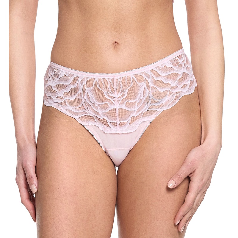 Hanky Panky Silhouette Floral Brief (7F2444) – Vie En Rose