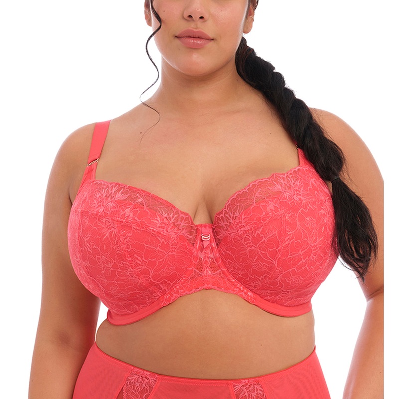 Elomi Brianna Padded Half Cup Underwire Bra (8081) – Cayenne
