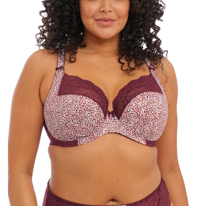 Elomi Lucie Banded Stretch Lace Plunge Underwire Bra (4490) – Wild Thing