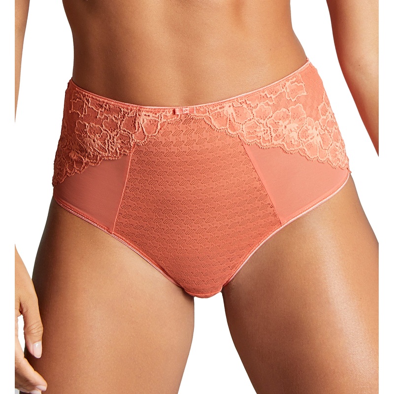 Panache Envy Deep Brief (7283) – Terracotta